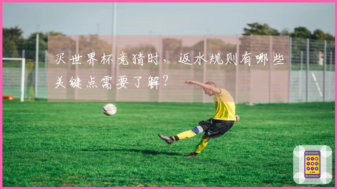 买世界杯竞猜时，返水规则有哪些关键点需要了解？