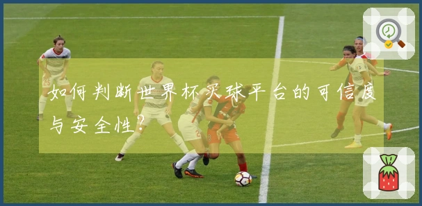 如何判断世界杯买球平台的可信度与安全性？