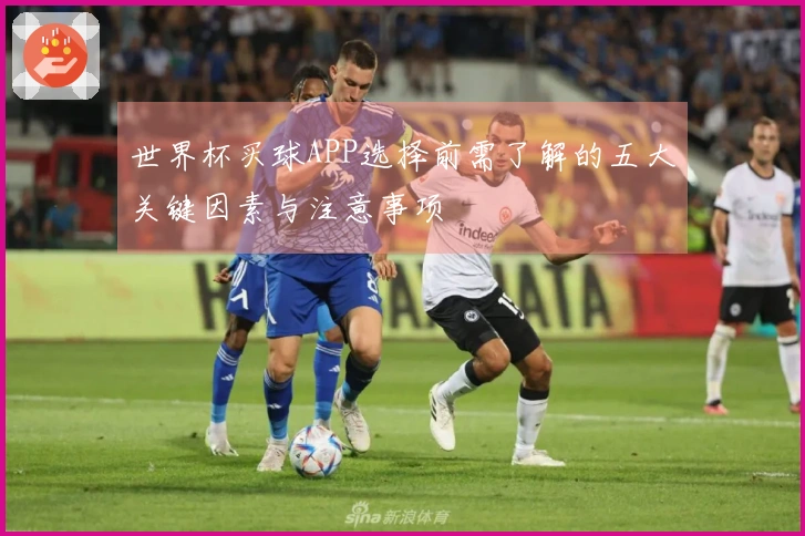 世界杯买球APP选择前需了解的五大关键因素与注意事项