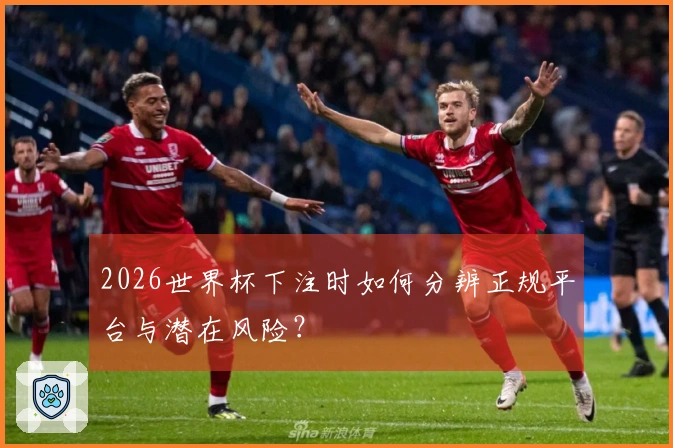 2026世界杯下注时如何分辨正规平台与潜在风险？