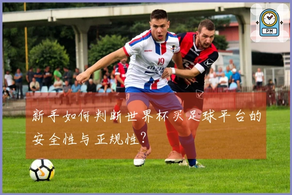 新手如何判断世界杯买足球平台的安全性与正规性？