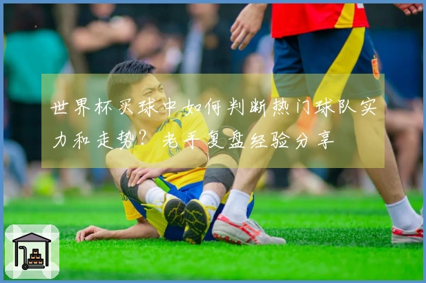 世界杯买球中如何判断热门球队实力和走势？老手复盘经验分享