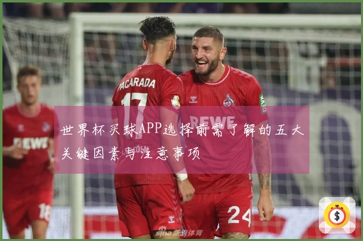 世界杯买球APP选择前需了解的五大关键因素与注意事项