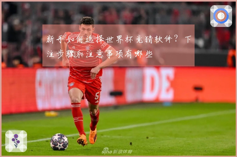 新手如何选择世界杯竞猜软件？下注步骤和注意事项有哪些