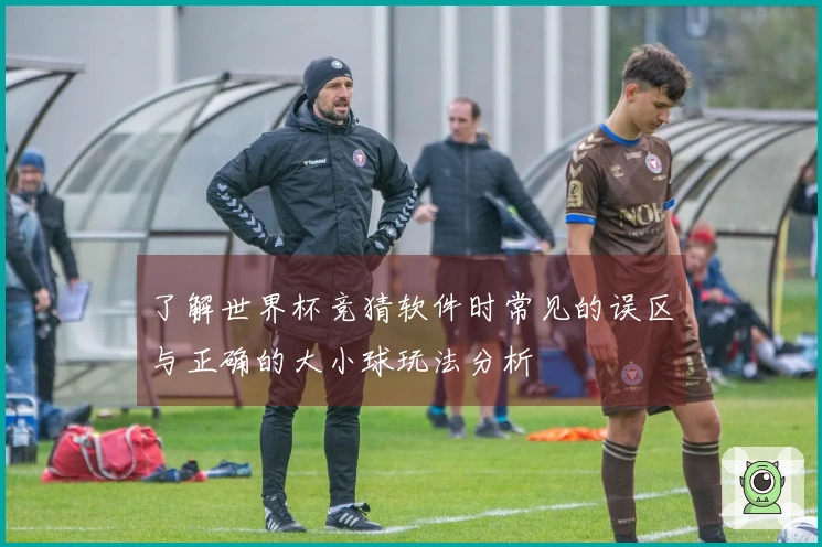 了解世界杯竞猜软件时常见的误区与正确的大小球玩法分析