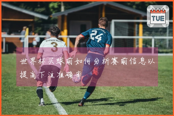 世界杯买球前如何分析赛前信息以提高下注准确率