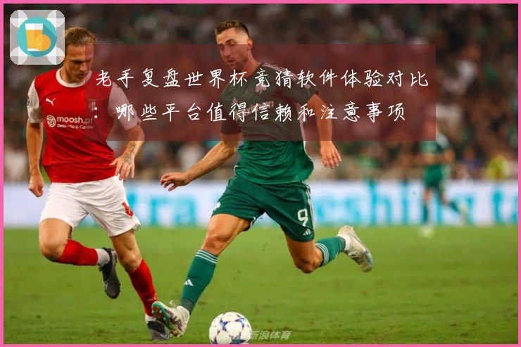 老手复盘世界杯竞猜软件体验对比：哪些平台值得信赖和注意事项