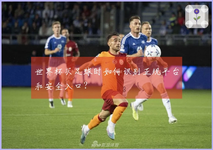 世界杯买足球时如何识别正规平台和安全入口？