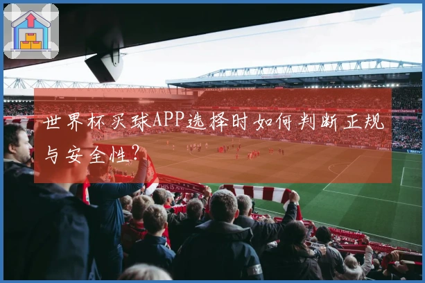 世界杯买球APP选择时如何判断正规与安全性？