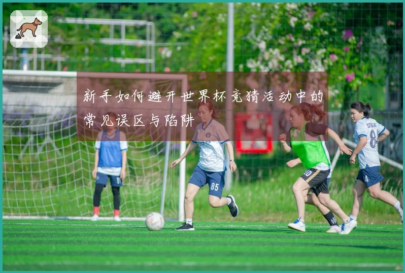 新手如何避开世界杯竞猜活动中的常见误区与陷阱