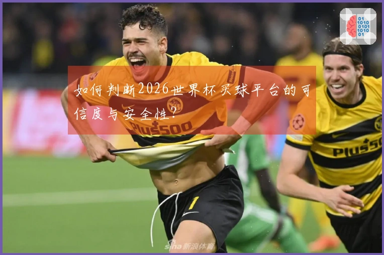 如何判断2026世界杯买球平台的可信度与安全性？