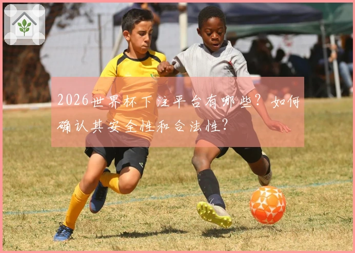 2026世界杯下注平台有哪些？如何确认其安全性和合法性？
