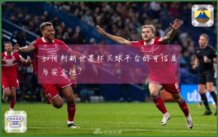 如何判断世界杯买球平台的可信度与安全性？