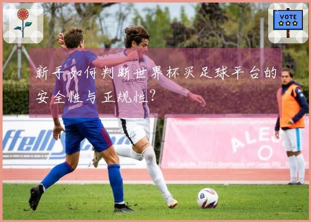 新手如何判断世界杯买足球平台的安全性与正规性？