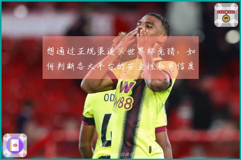 想通过正规渠道买世界杯竞猜，如何判断各大平台的安全性和可信度？