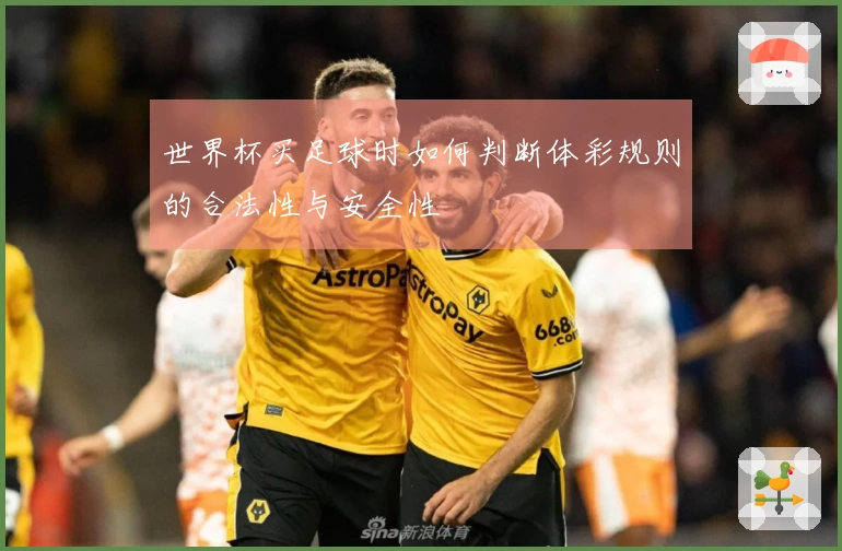 世界杯买足球时如何判断体彩规则的合法性与安全性