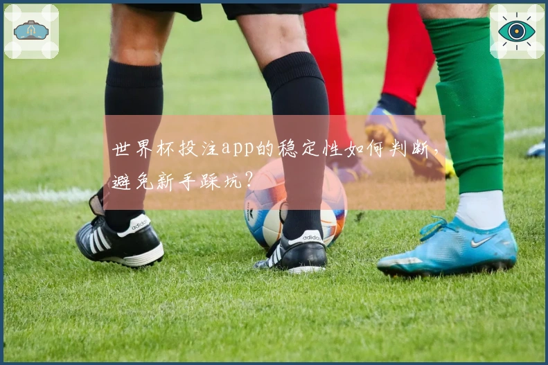 世界杯投注app的稳定性如何判断，避免新手踩坑？