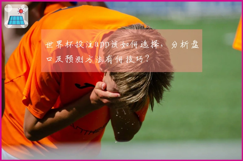 世界杯投注app该如何选择，分析盘口及预测方法有何技巧？