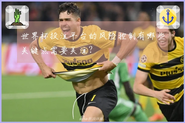 世界杯投注平台的风险控制有哪些关键点需要关注？