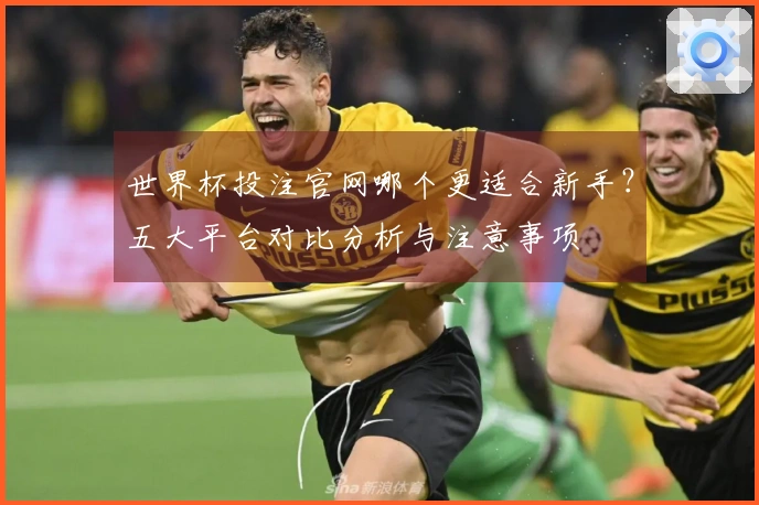 世界杯投注官网哪个更适合新手？五大平台对比分析与注意事项