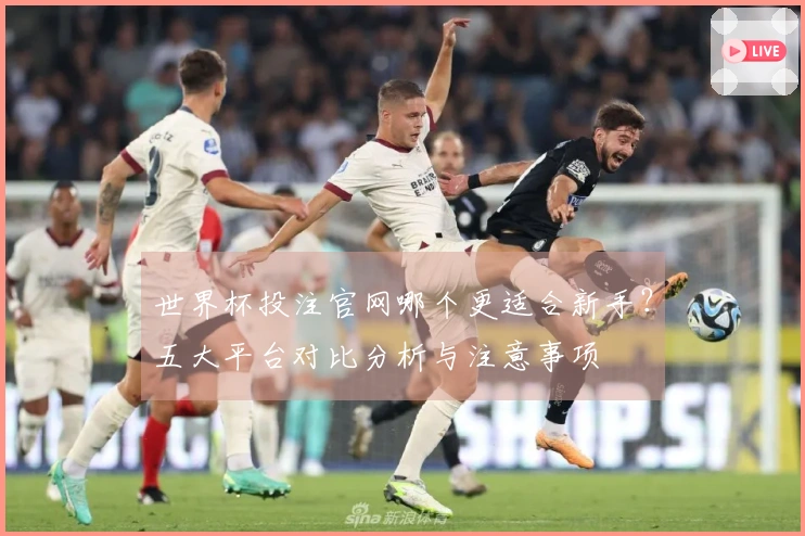 世界杯投注官网哪个更适合新手？五大平台对比分析与注意事项