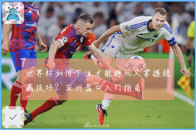 世界杯如何下注才能避坑又掌握稳赢技巧？亚洲盘口入门指南