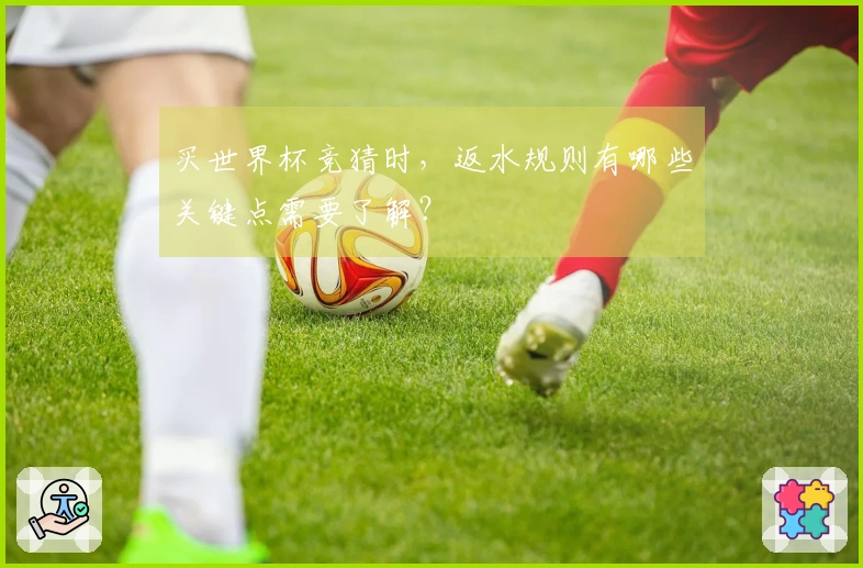 买世界杯竞猜时，返水规则有哪些关键点需要了解？