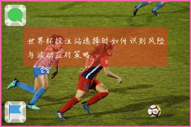 世界杯投注站选择时如何识别风险与波动应对策略