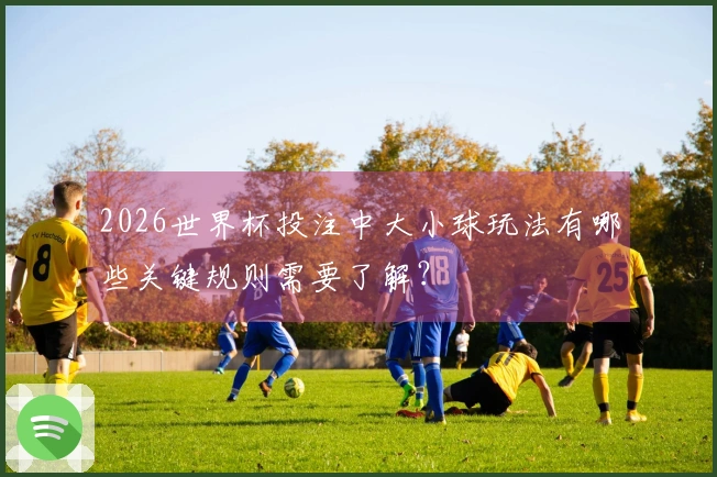 2026世界杯投注中大小球玩法有哪些关键规则需要了解？