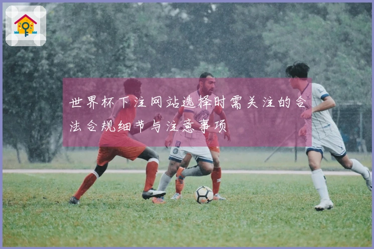 世界杯下注网站选择时需关注的合法合规细节与注意事项
