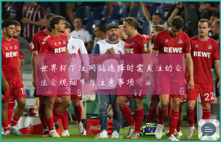 世界杯下注网站选择时需关注的合法合规细节与注意事项