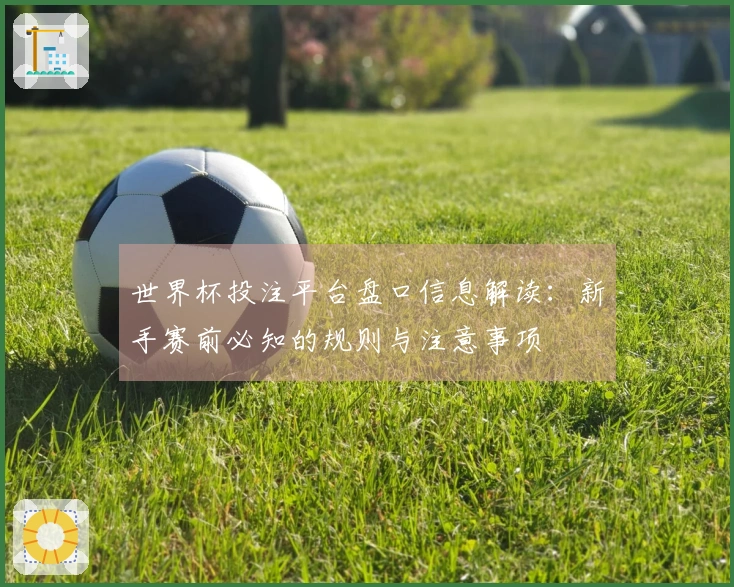 世界杯投注平台盘口信息解读：新手赛前必知的规则与注意事项