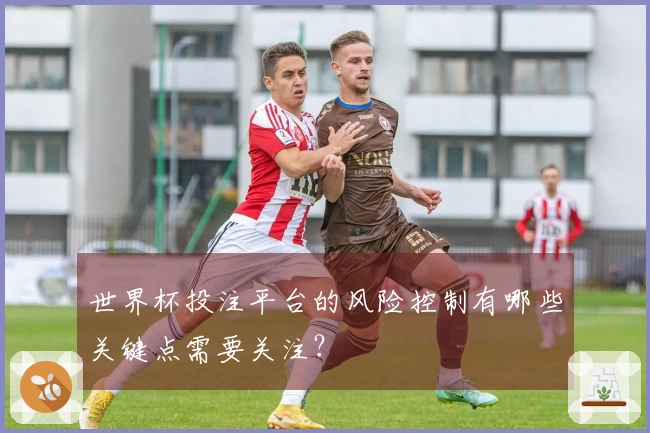 世界杯投注平台的风险控制有哪些关键点需要关注？