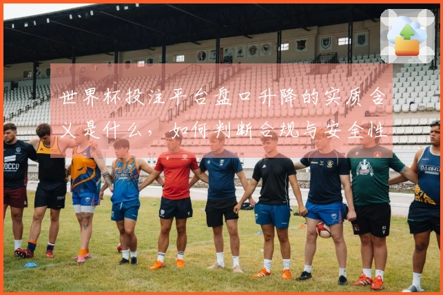 世界杯投注平台盘口升降的实质含义是什么，如何判断合规与安全性？